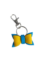 Load image into Gallery viewer, Bag Swag (Solid)
